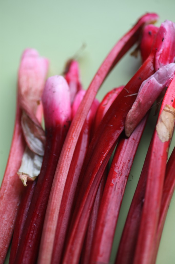 Rhubarb